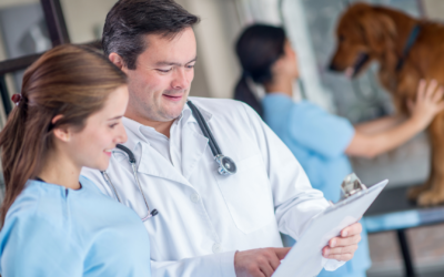 What Items Should Physicians Pack, Donate, or Discard Before a Move?
